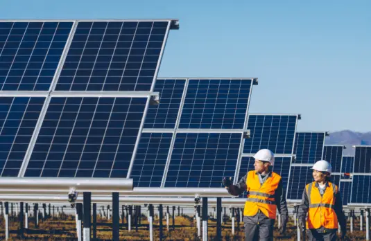 Businesses Invest In Solar Energy & Renewable Energy